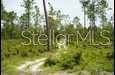 Image 15 of 27 For State Road 121 Lot D