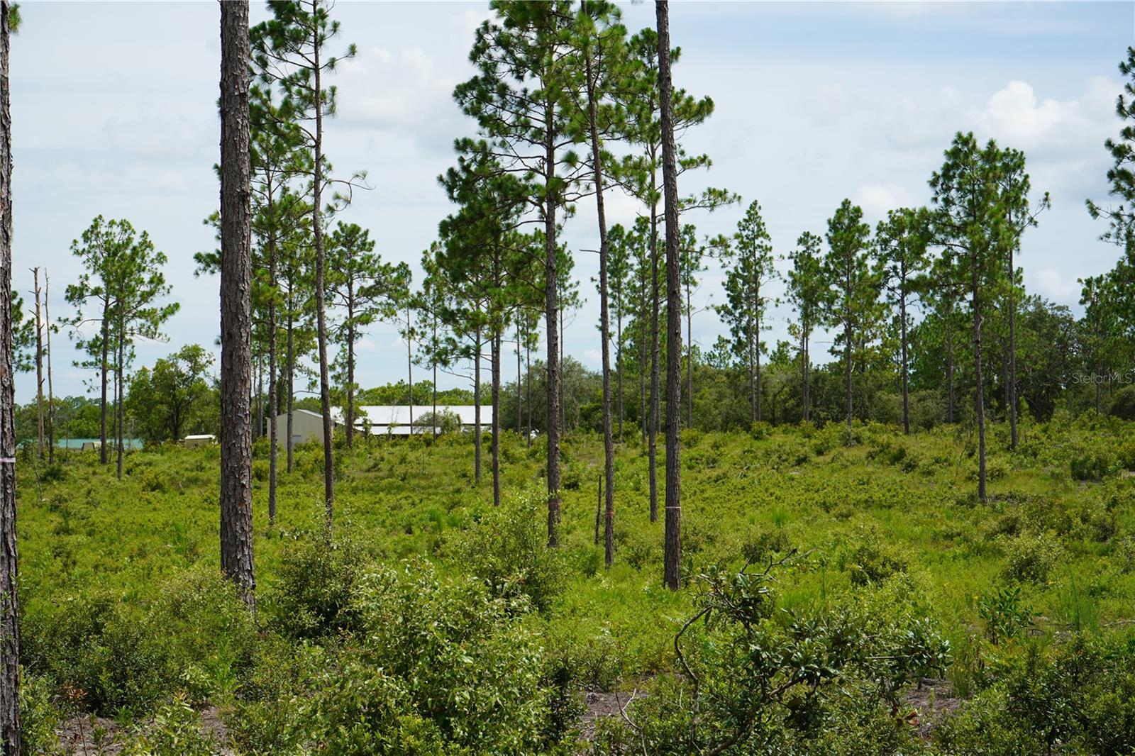 Image 17 of 27 For State Road 121 Lot D