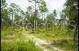 Image 11 of 22 For State Road 121 Lot C