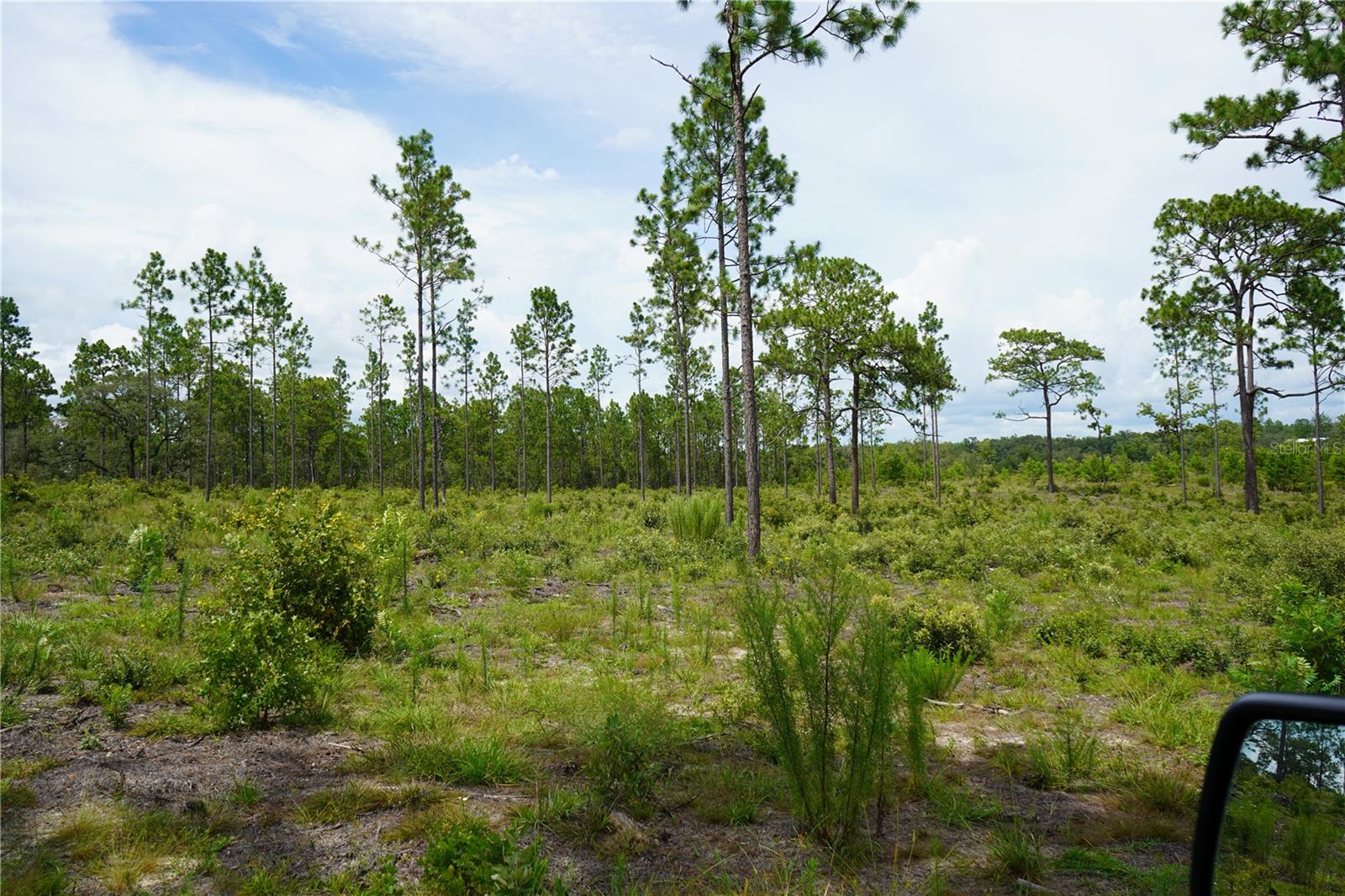 Image 13 of 22 For State Road 121 Lot C