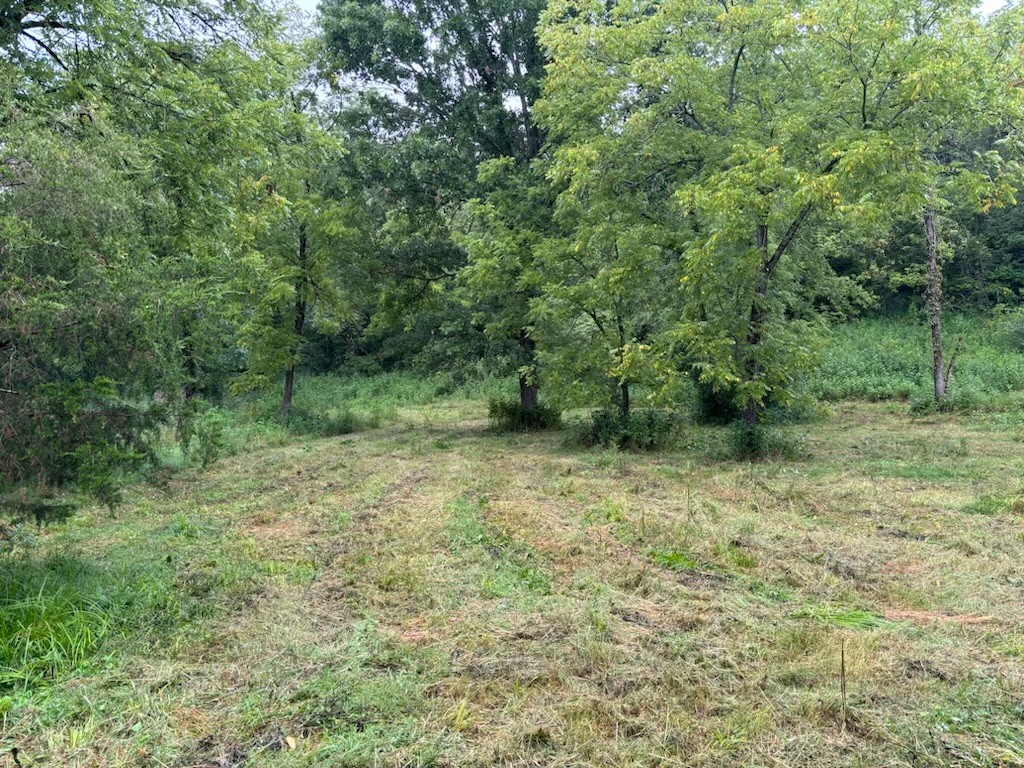 Image 8 of 61 For 5389 48th Avenue