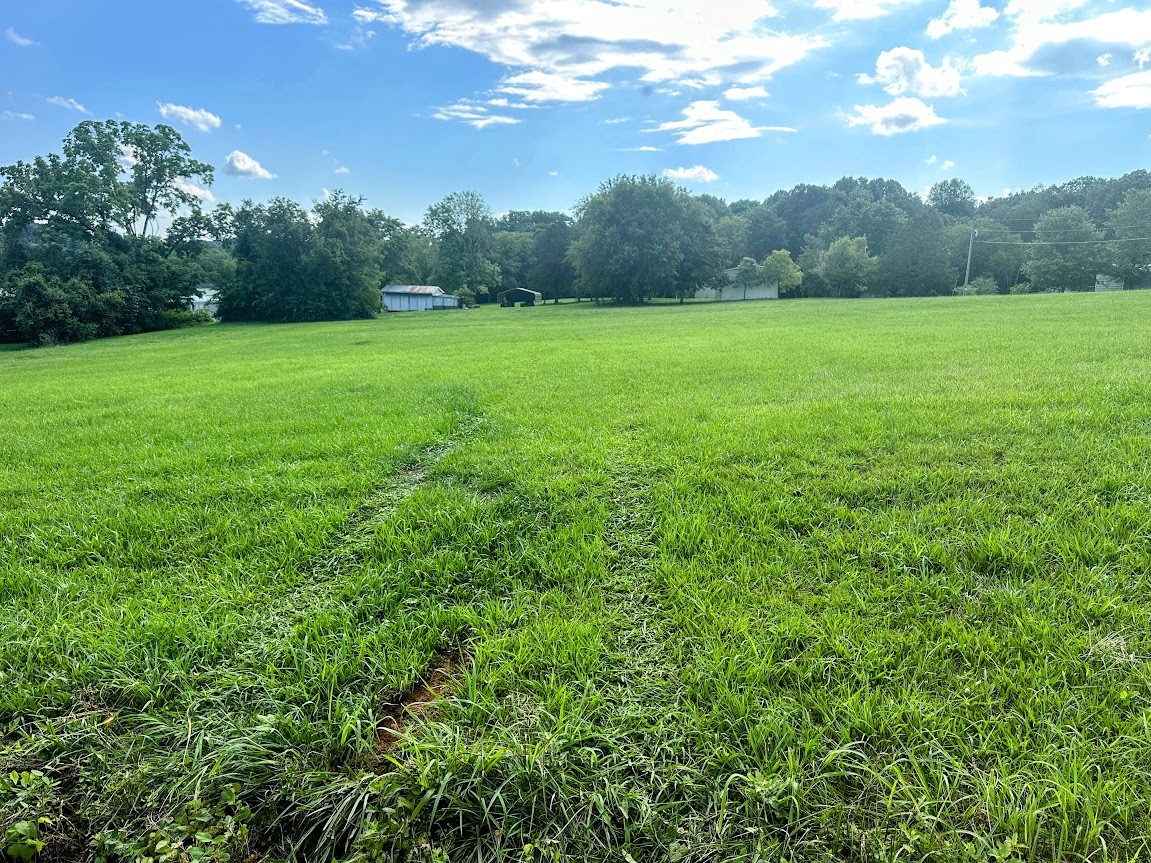 Image 4 of 5 For Annette Avenue