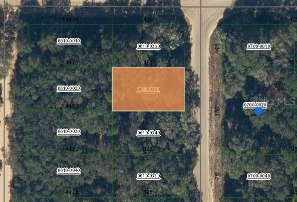 Details for Annette Avenue, INTERLACHEN, FL 32148