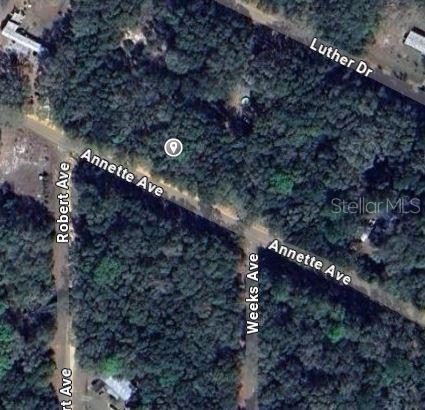 Image 2 of 5 For Annette Avenue