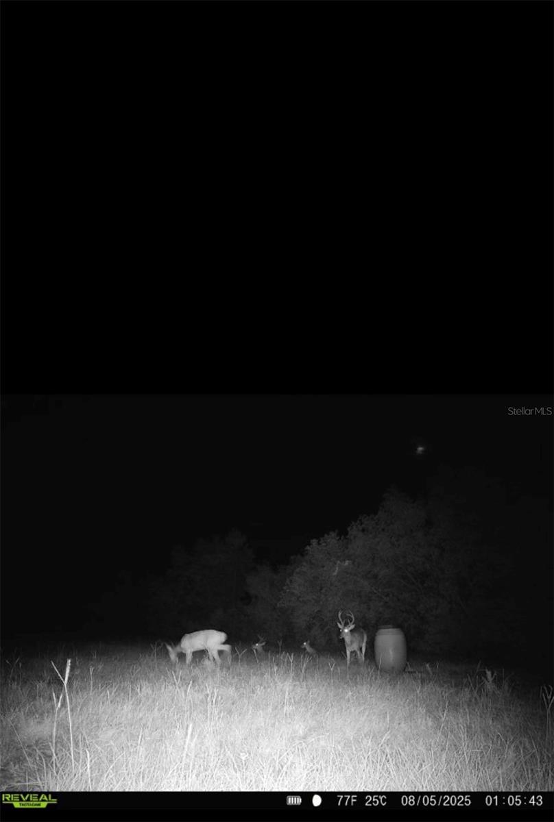 Image 72 of 89 For 16324 County Road 1471