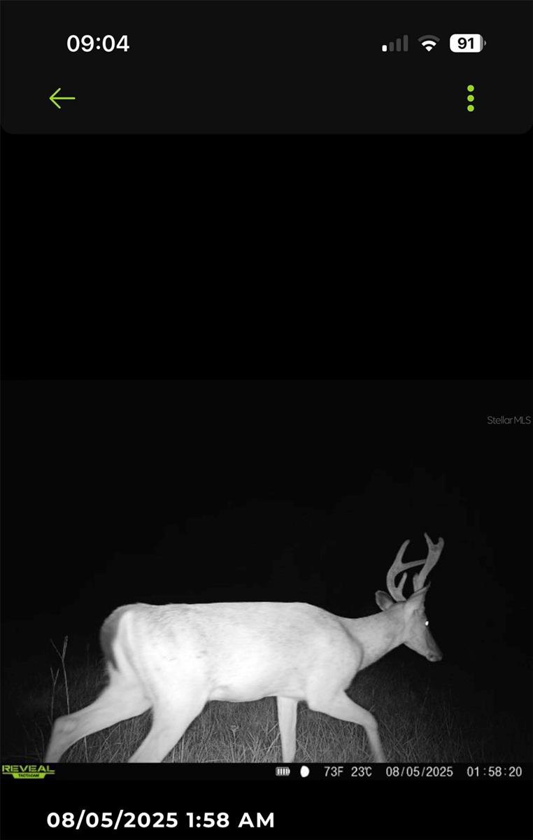 Image 73 of 89 For 16324 County Road 1471