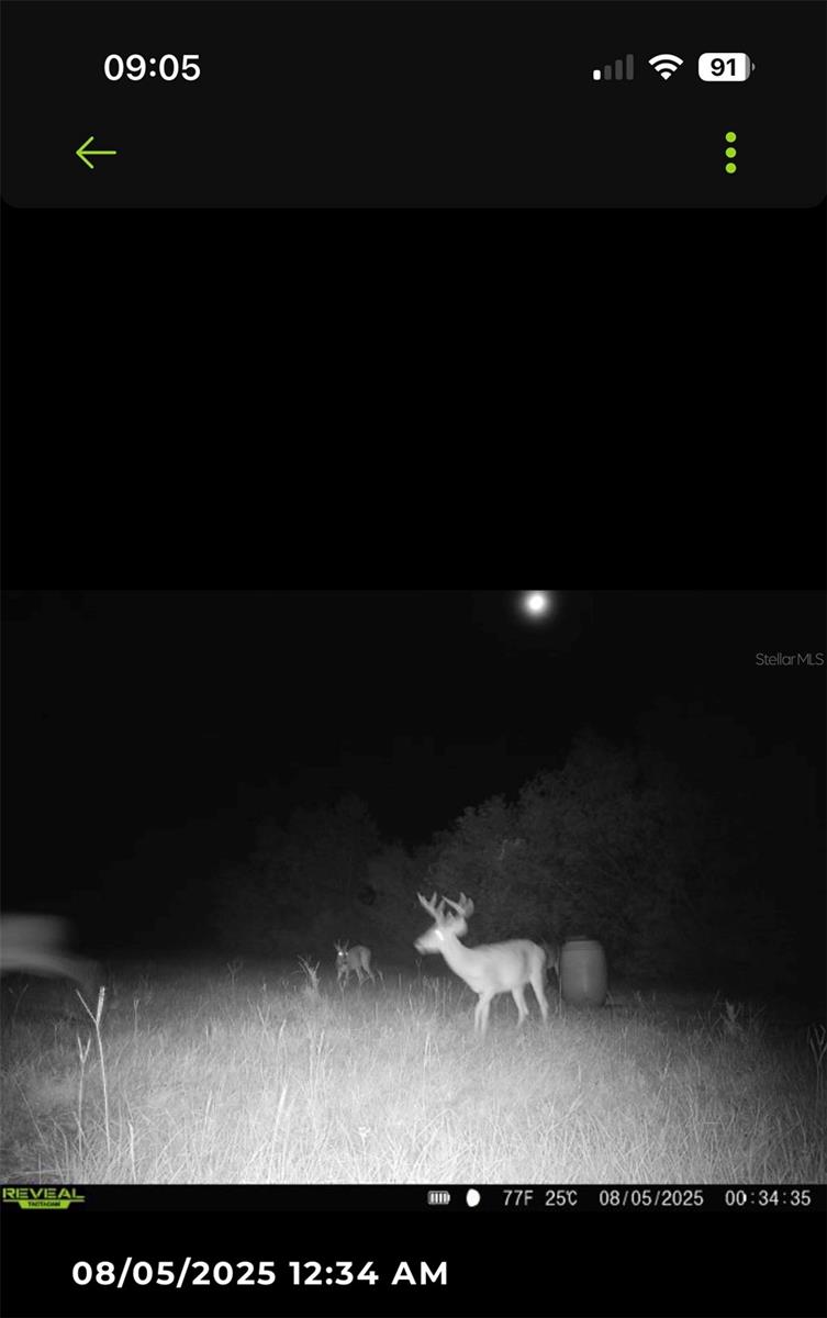 Image 74 of 89 For 16324 County Road 1471