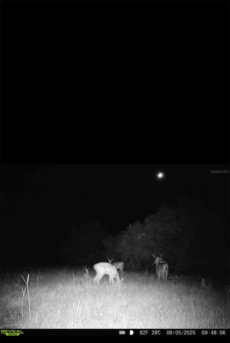 Image 76 of 89 For 16324 County Road 1471