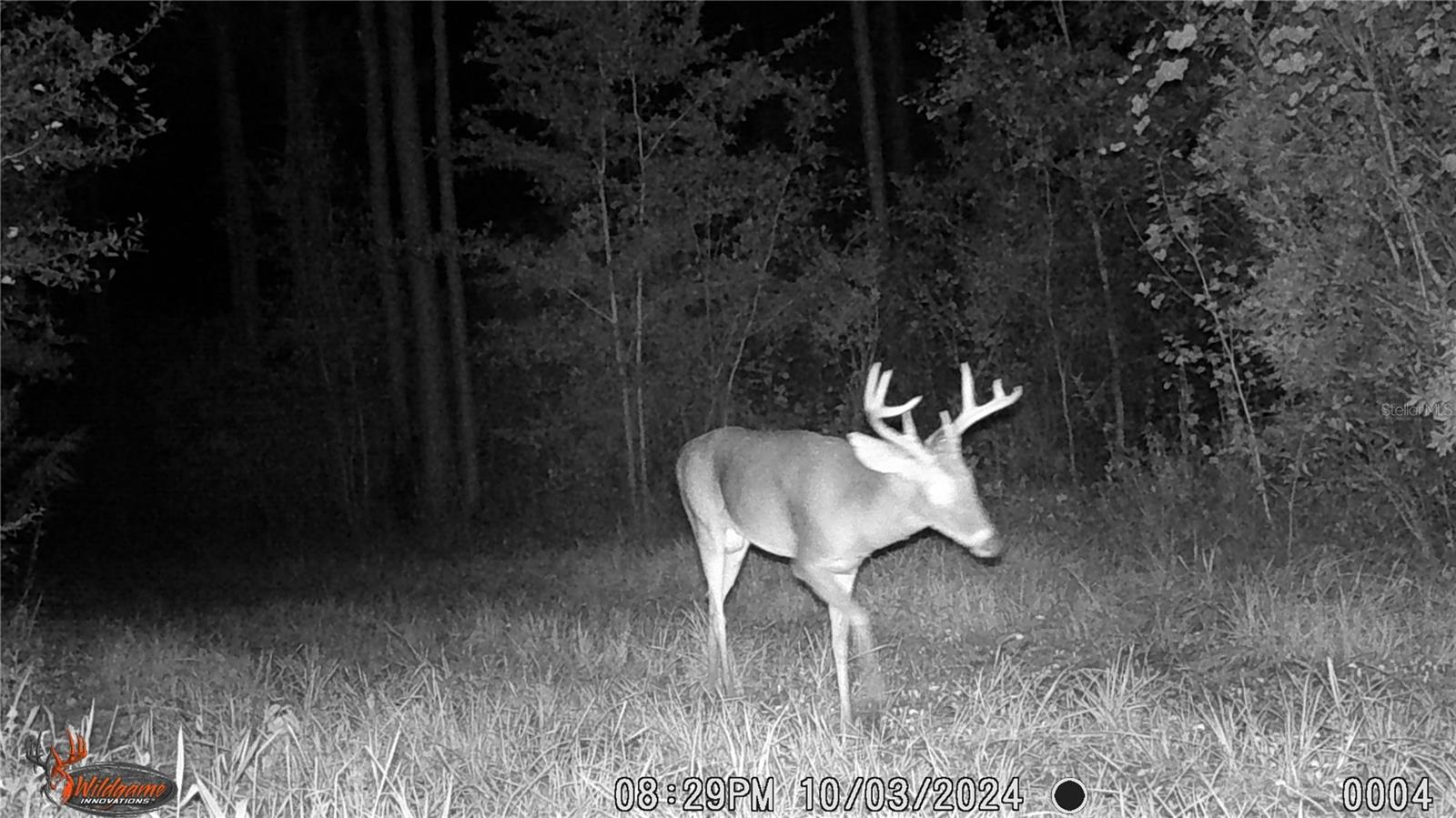 Image 83 of 89 For 16324 County Road 1471