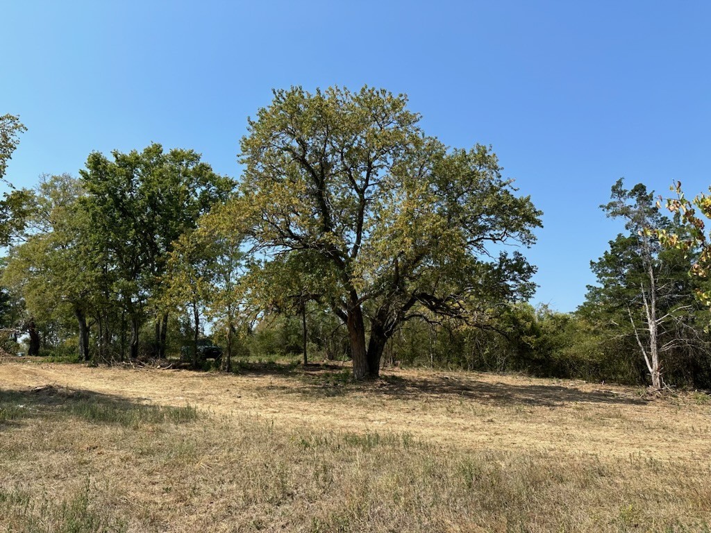 Listing photo id 2 for 4418 Amsterdam Street