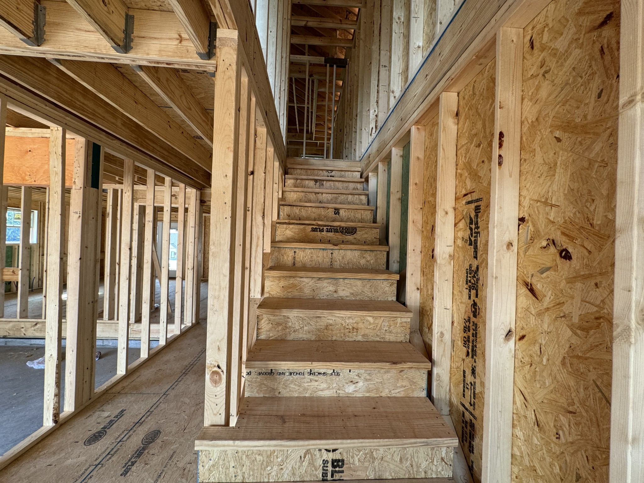 Image 11 of 19 For 219 Seminole Avenue