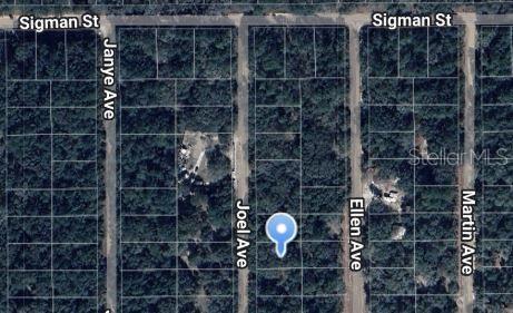 Listing Details for  Joel Avenue , INTERLACHEN, FL 32148
