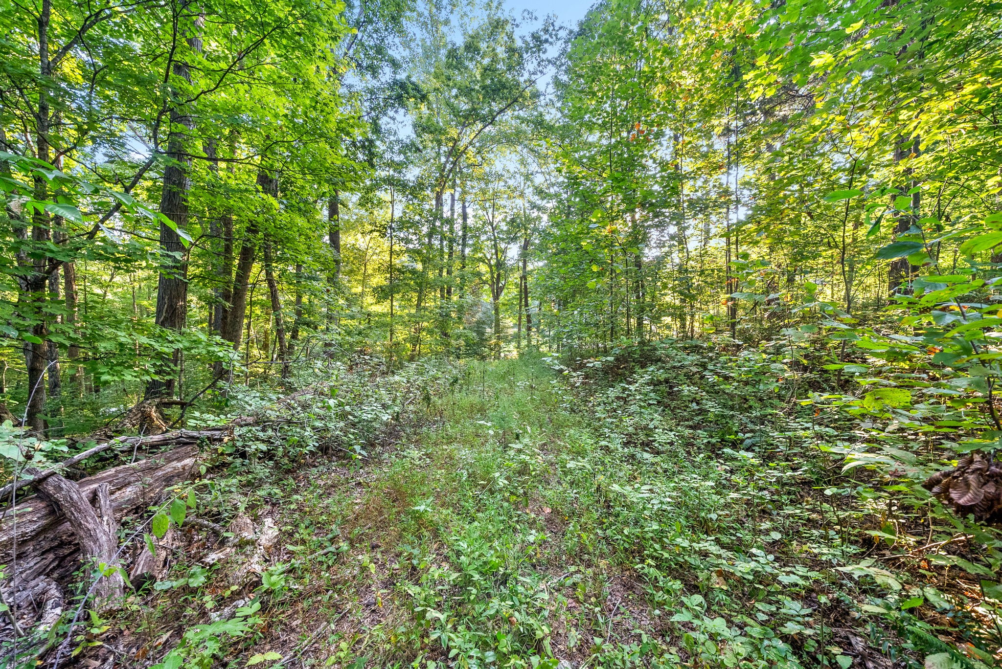 Image 13 of 22 For 4510 90th Lane Road