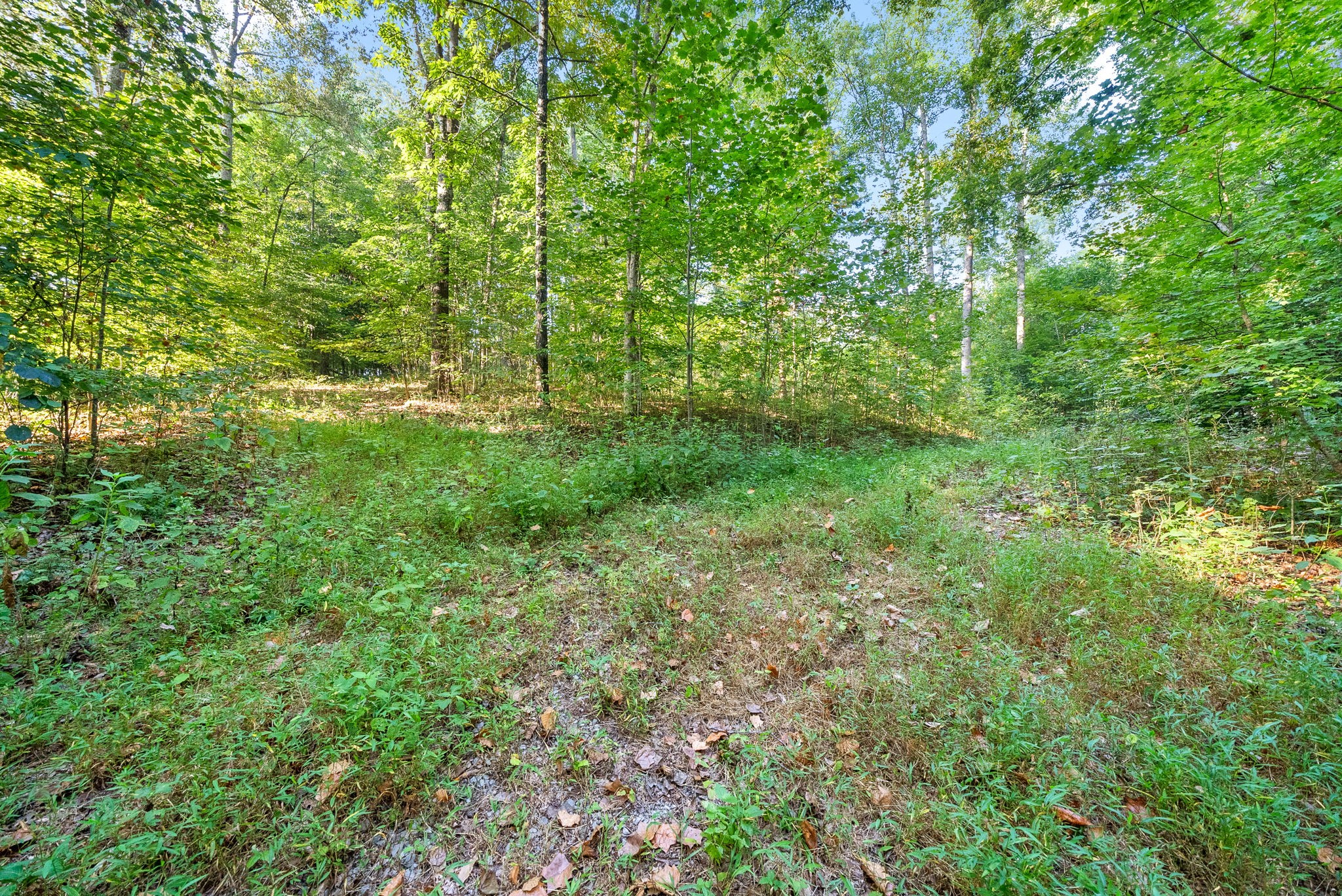 Image 14 of 22 For 4510 90th Lane Road