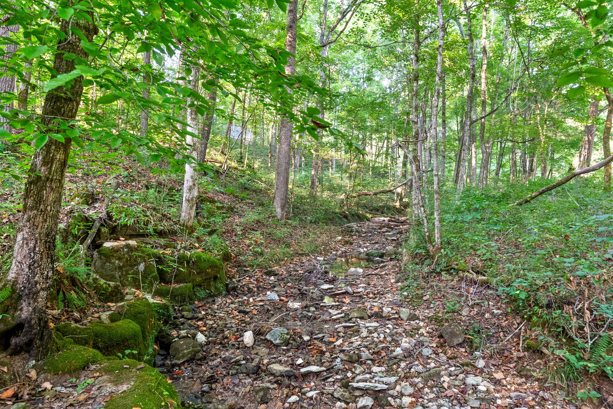 Image 4 of 22 For 4510 90th Lane Road