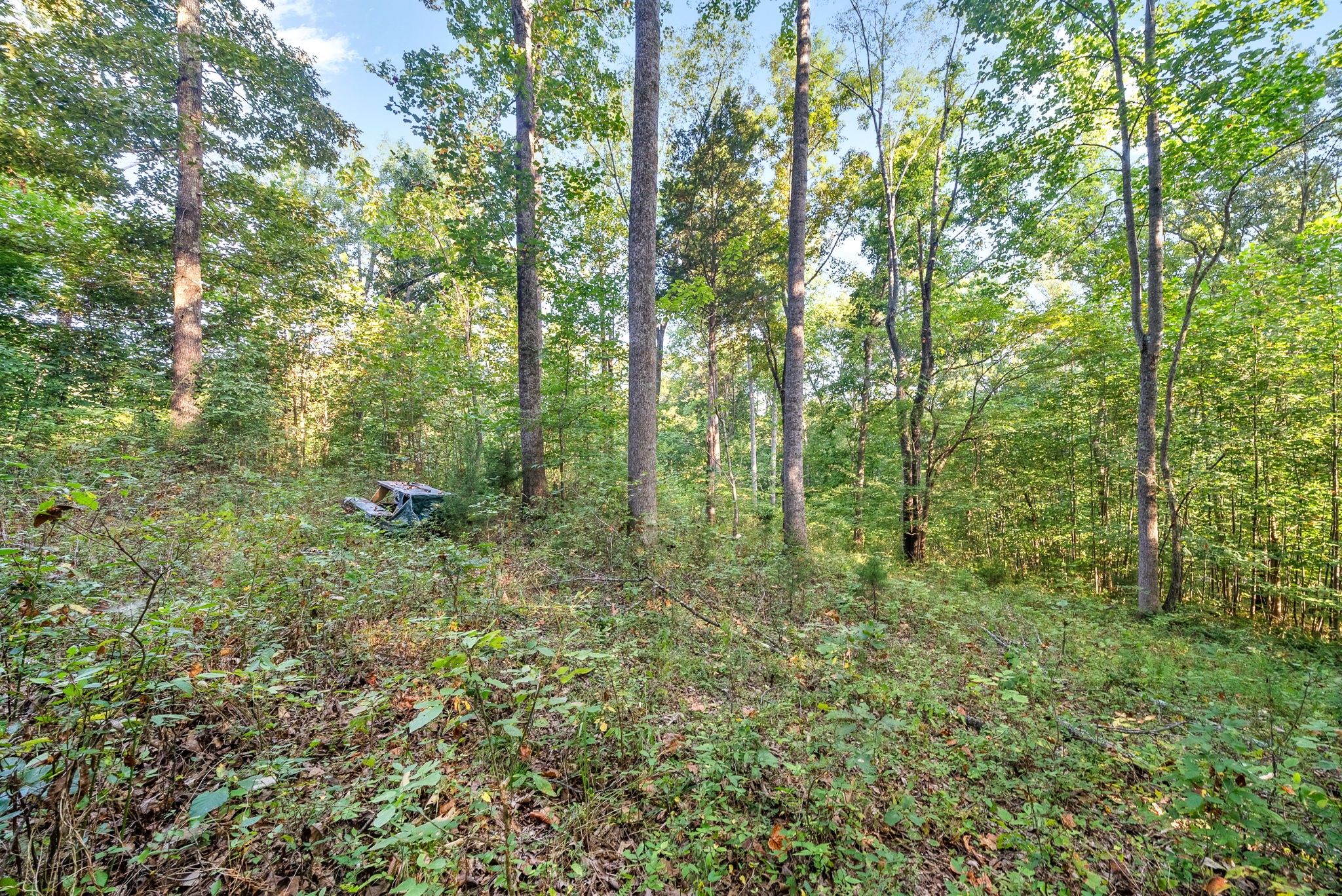 Image 5 of 22 For 4510 90th Lane Road