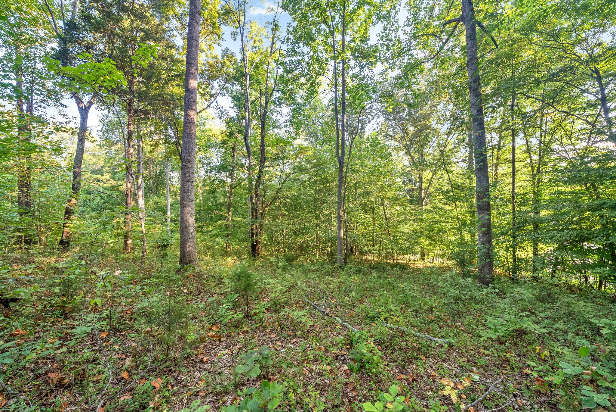 Image 6 of 22 For 4510 90th Lane Road