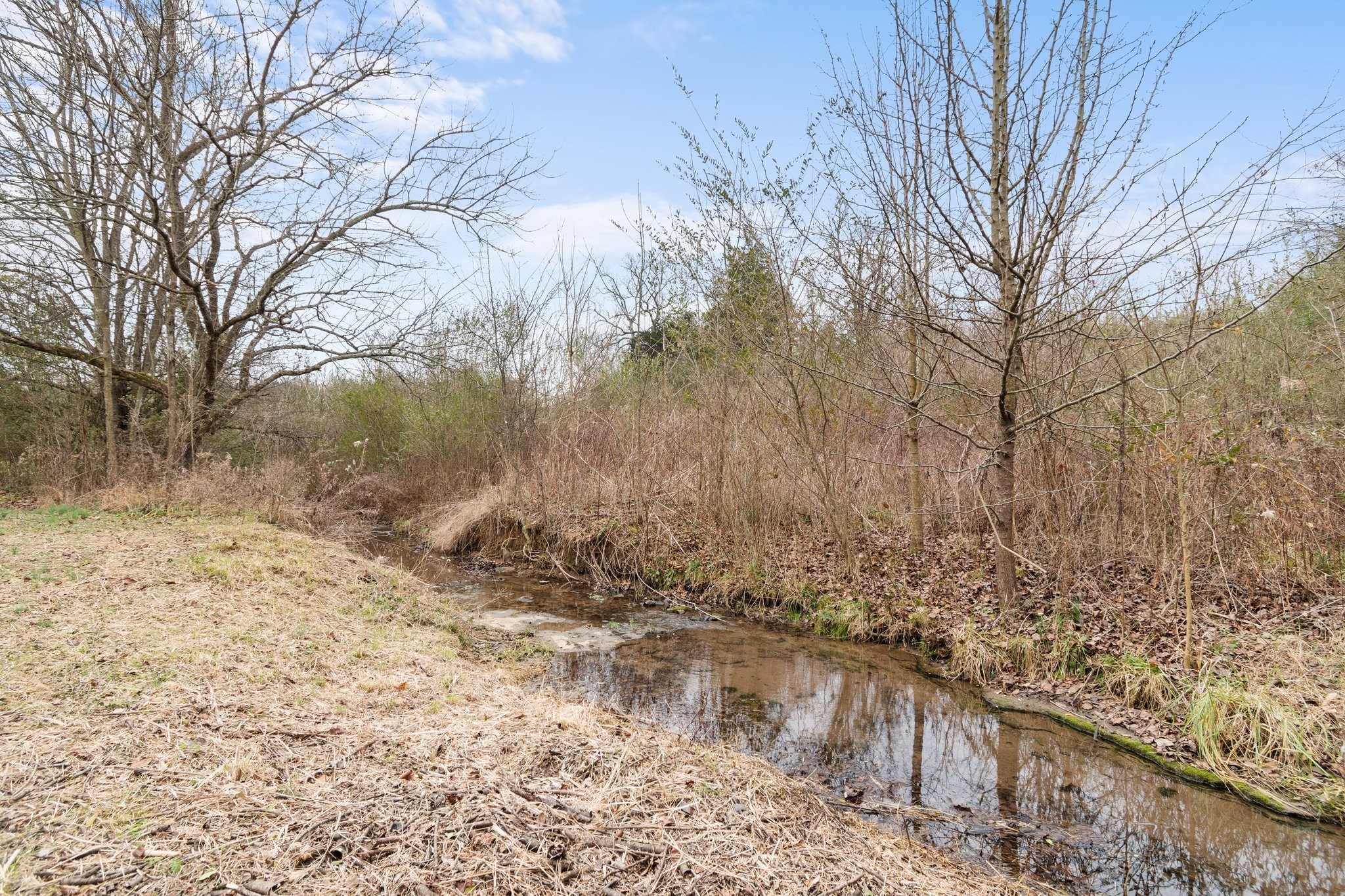 Image 5 of 15 For 3342 Crandon Drive