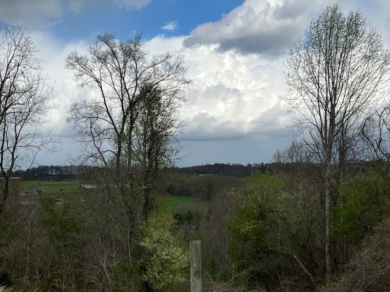 Image 3 of 49 For 6800 57th Avenue