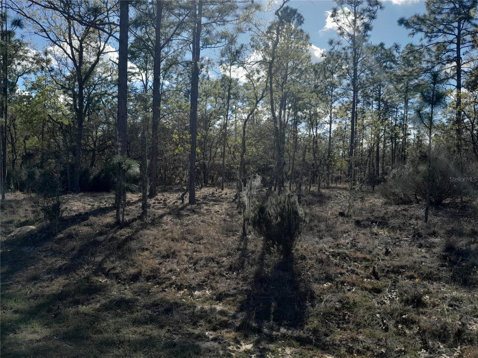 Image 2 of 6 For Tbd 150th Avenue