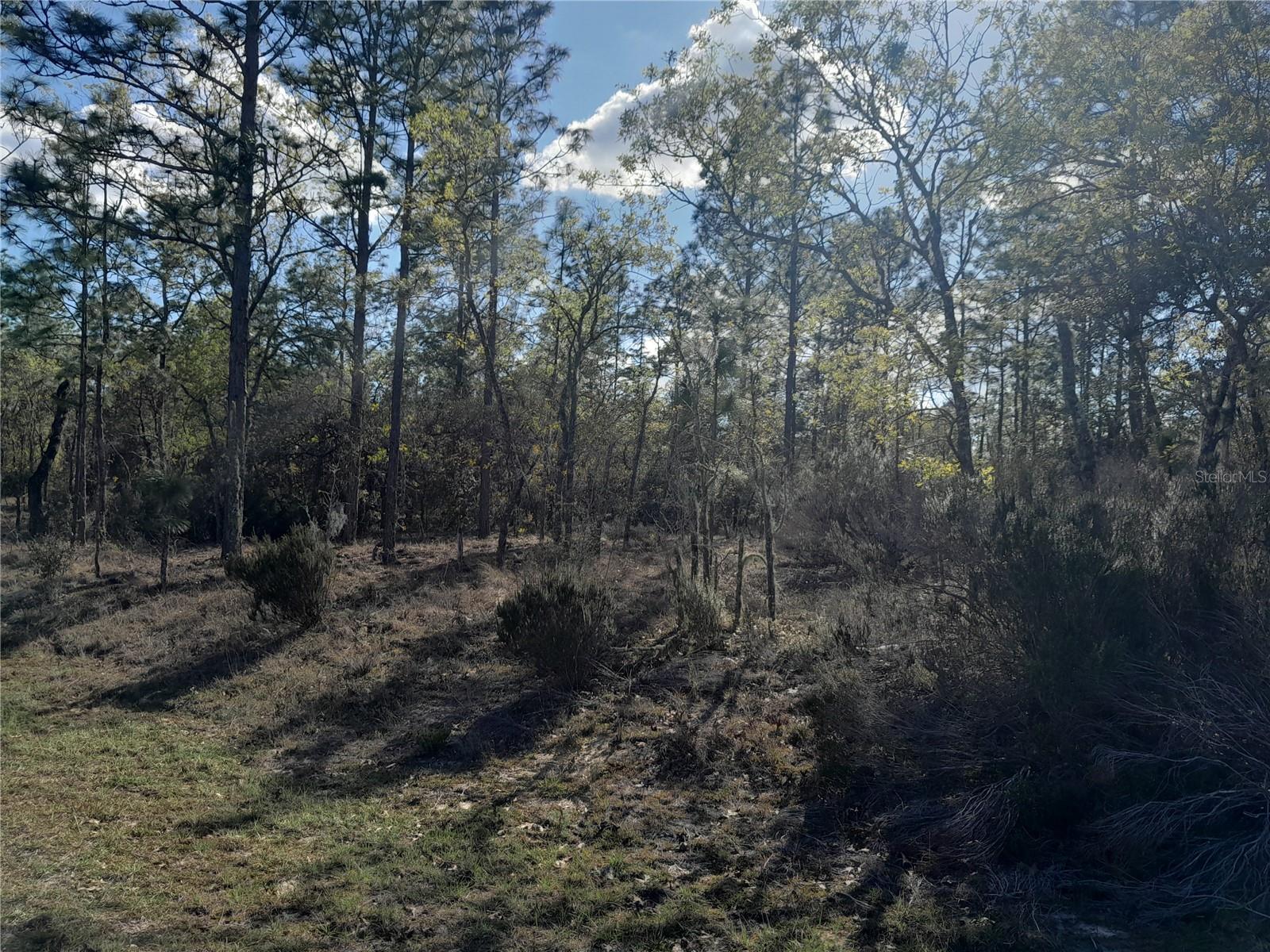 Image 3 of 6 For Tbd 150th Avenue