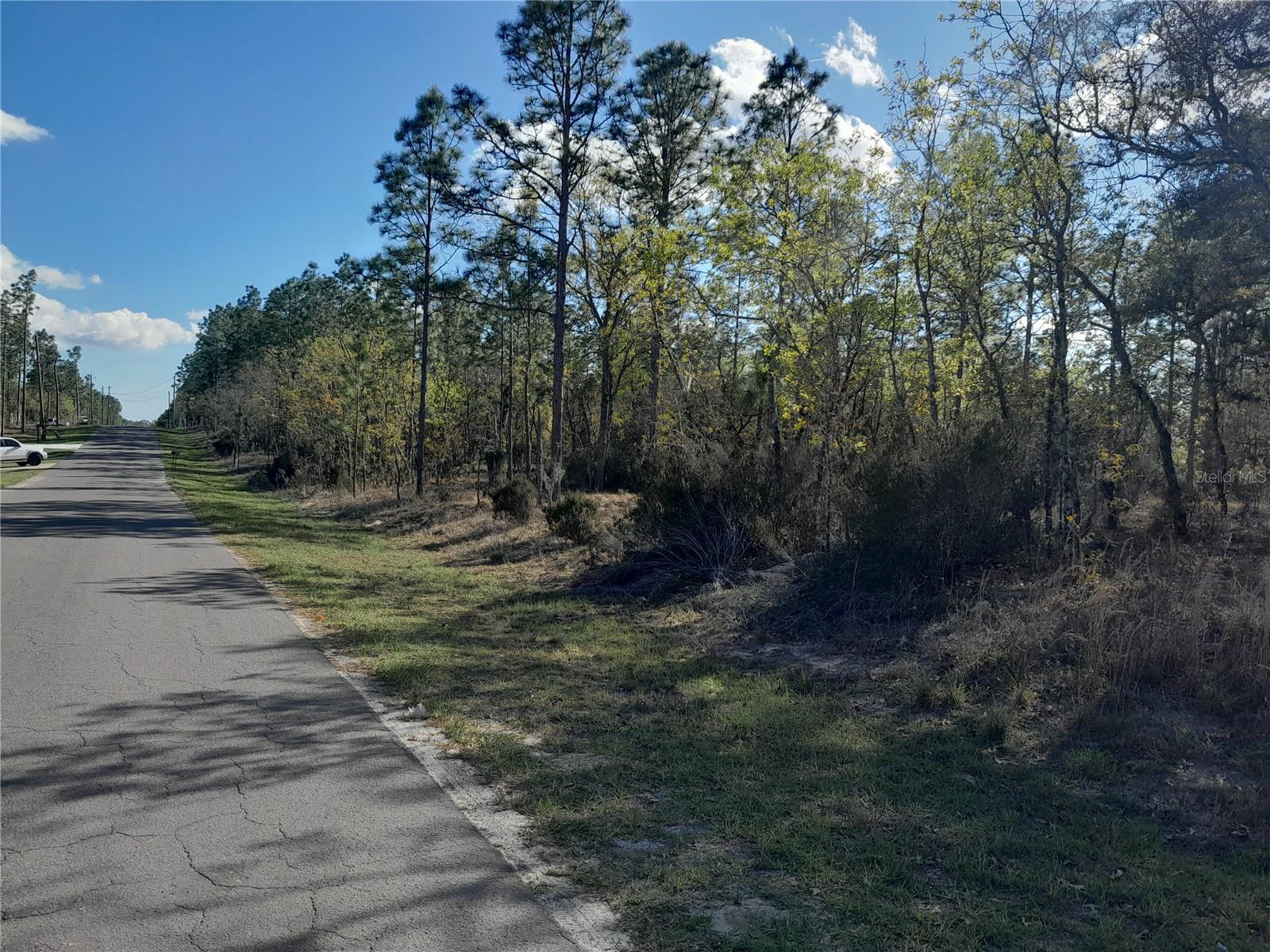 Image 5 of 6 For Tbd 150th Avenue