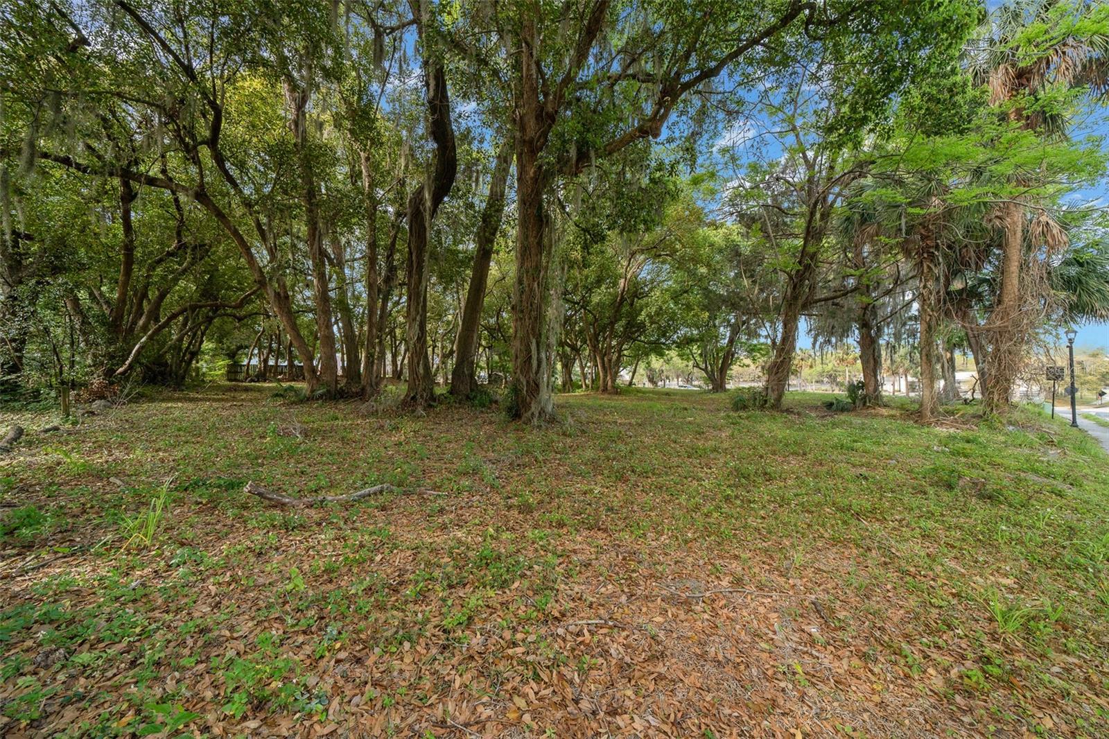 Image 82 of 89 For 118 Tuscawilla Avenue