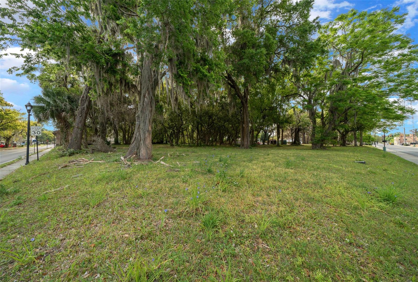 Image 85 of 89 For 118 Tuscawilla Avenue