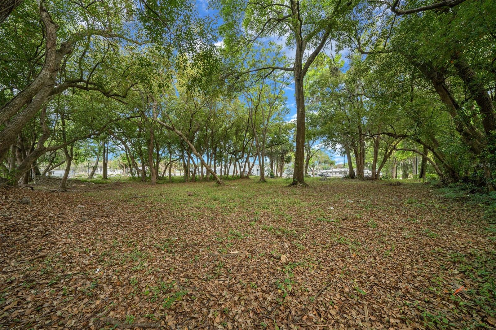Image 87 of 89 For 118 Tuscawilla Avenue