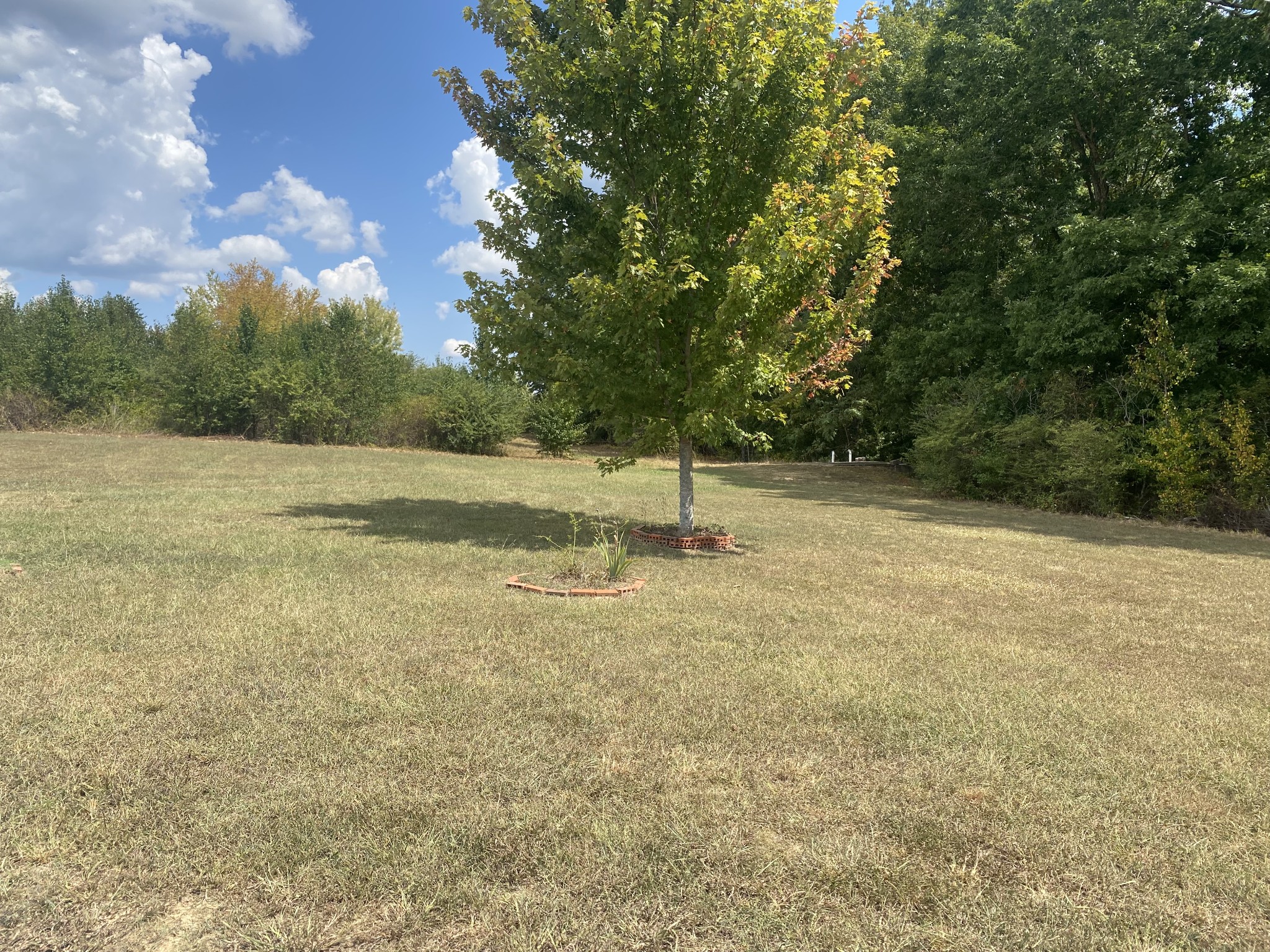 Image 12 of 13 For 3041 104th Avenue