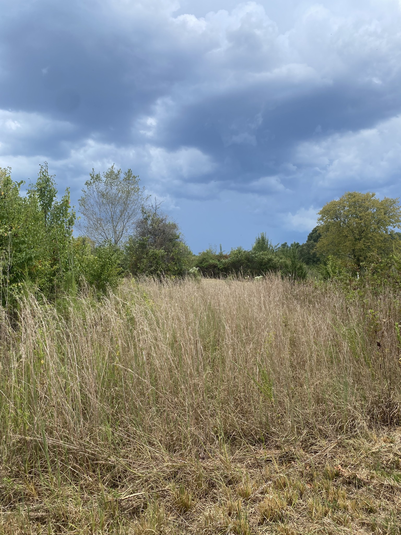 Image 16 of 77 For 3041 104th Avenue