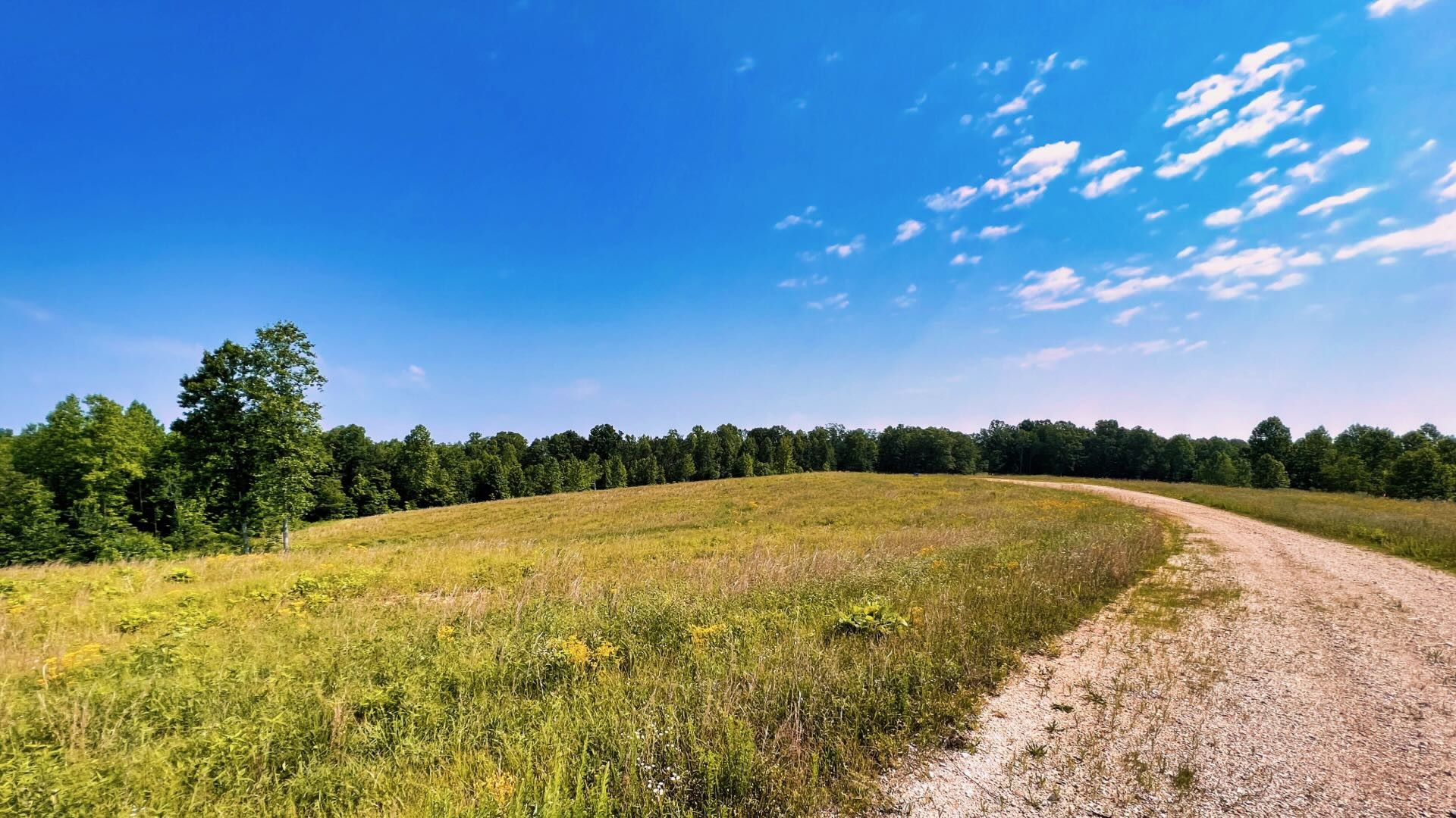 Listing Details for 570 5th Lane, WILLISTON, FL 32696