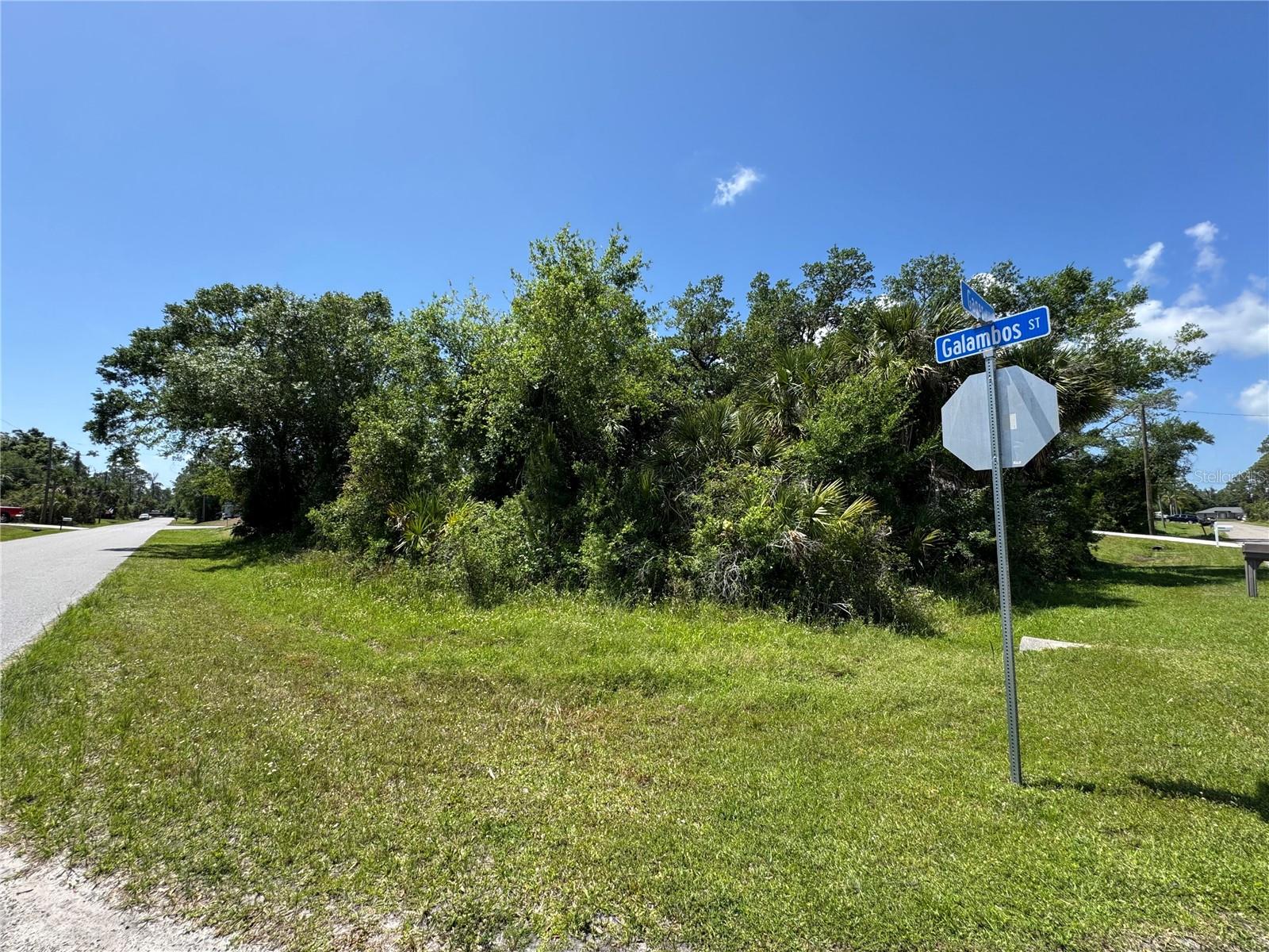 Image 5 of 12 For Galambos Street