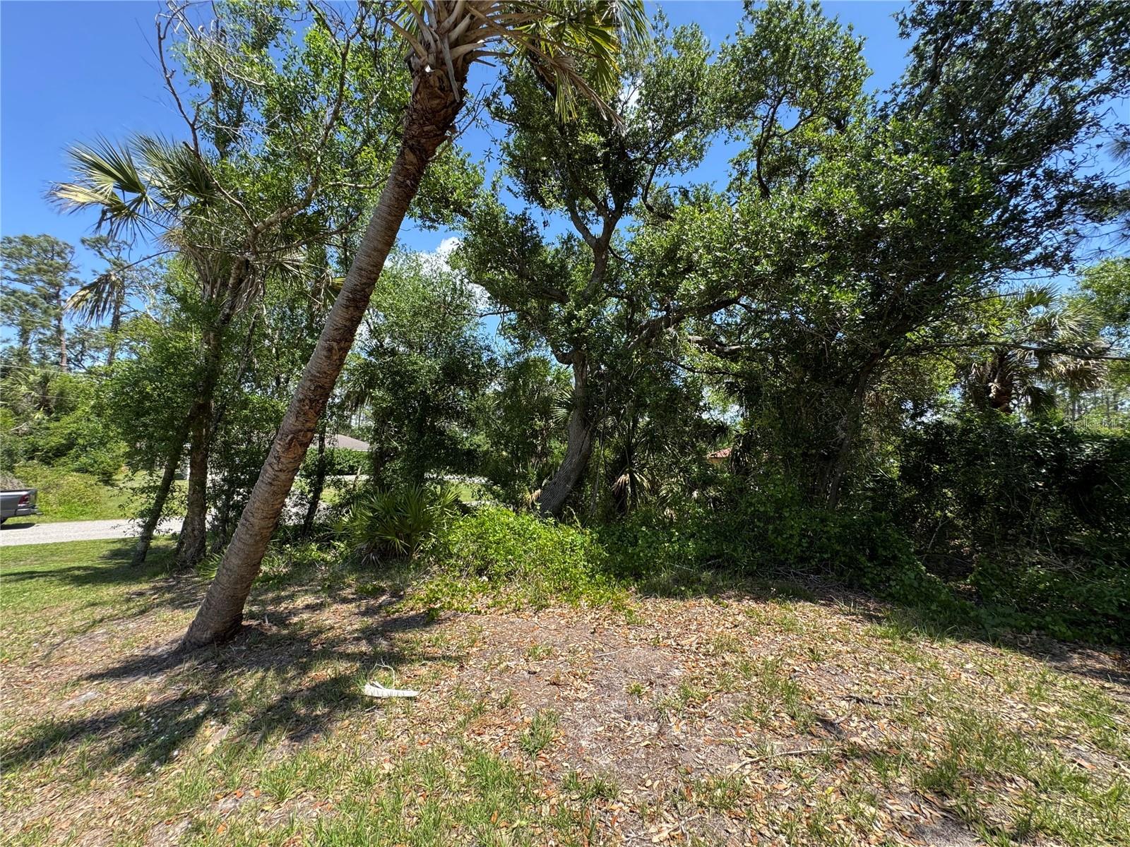 Image 7 of 12 For Galambos Street