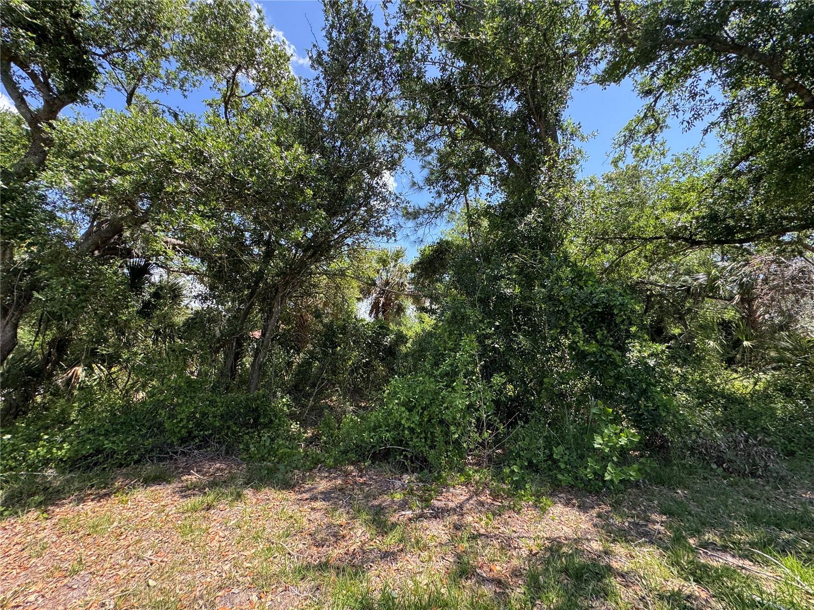 Image 8 of 12 For Galambos Street