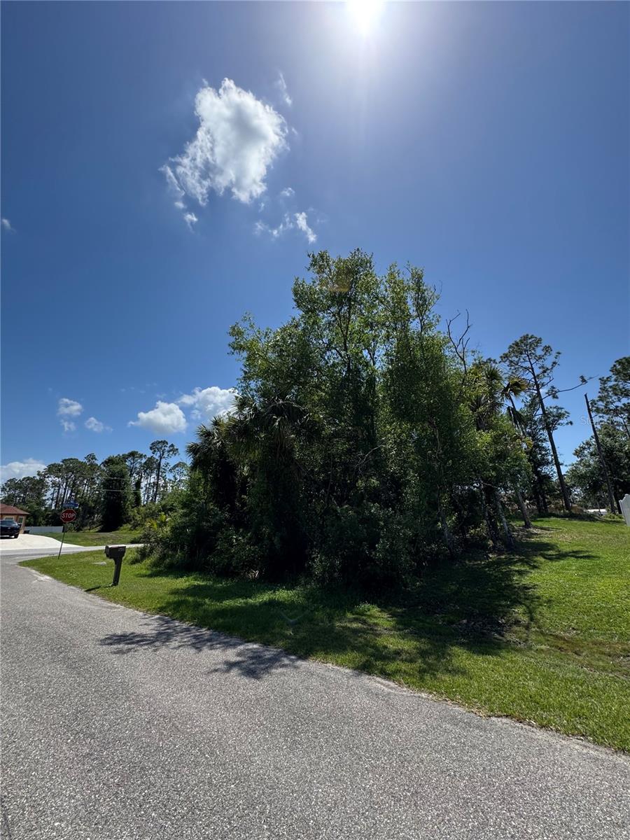 Image 9 of 12 For Galambos Street