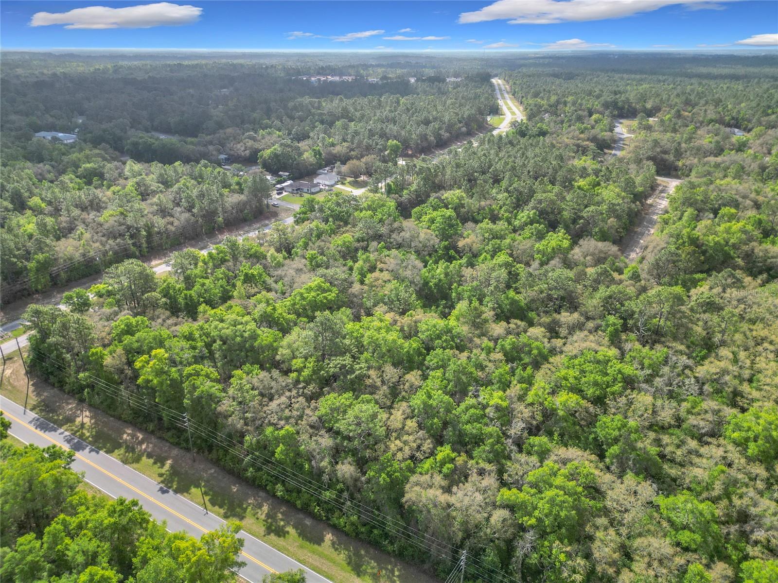 Listing photo id 8 for 8808 Deltona Boulevard