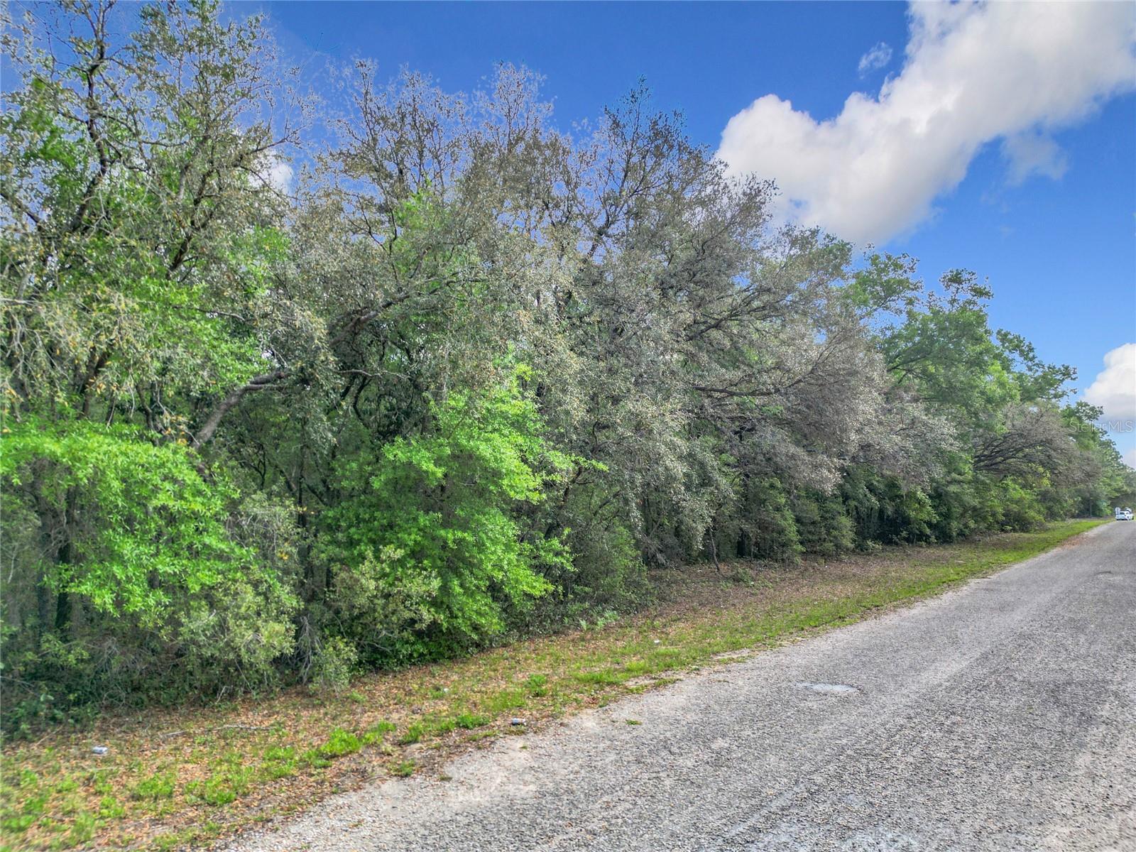 Listing photo id 10 for 8808 Deltona Boulevard