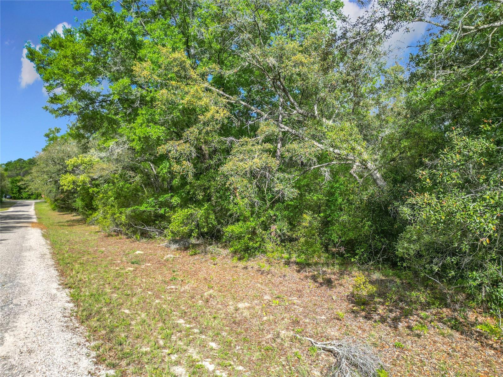Listing photo id 11 for 8808 Deltona Boulevard