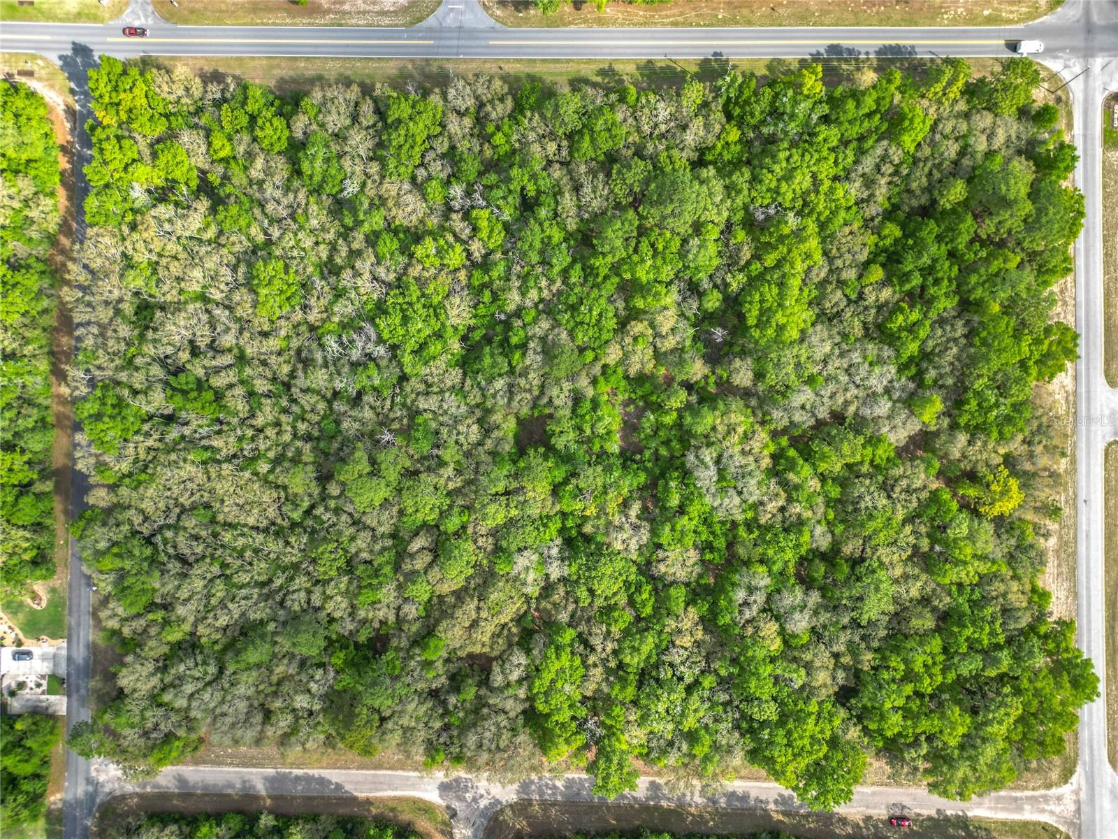 Listing photo id 14 for 8808 Deltona Boulevard