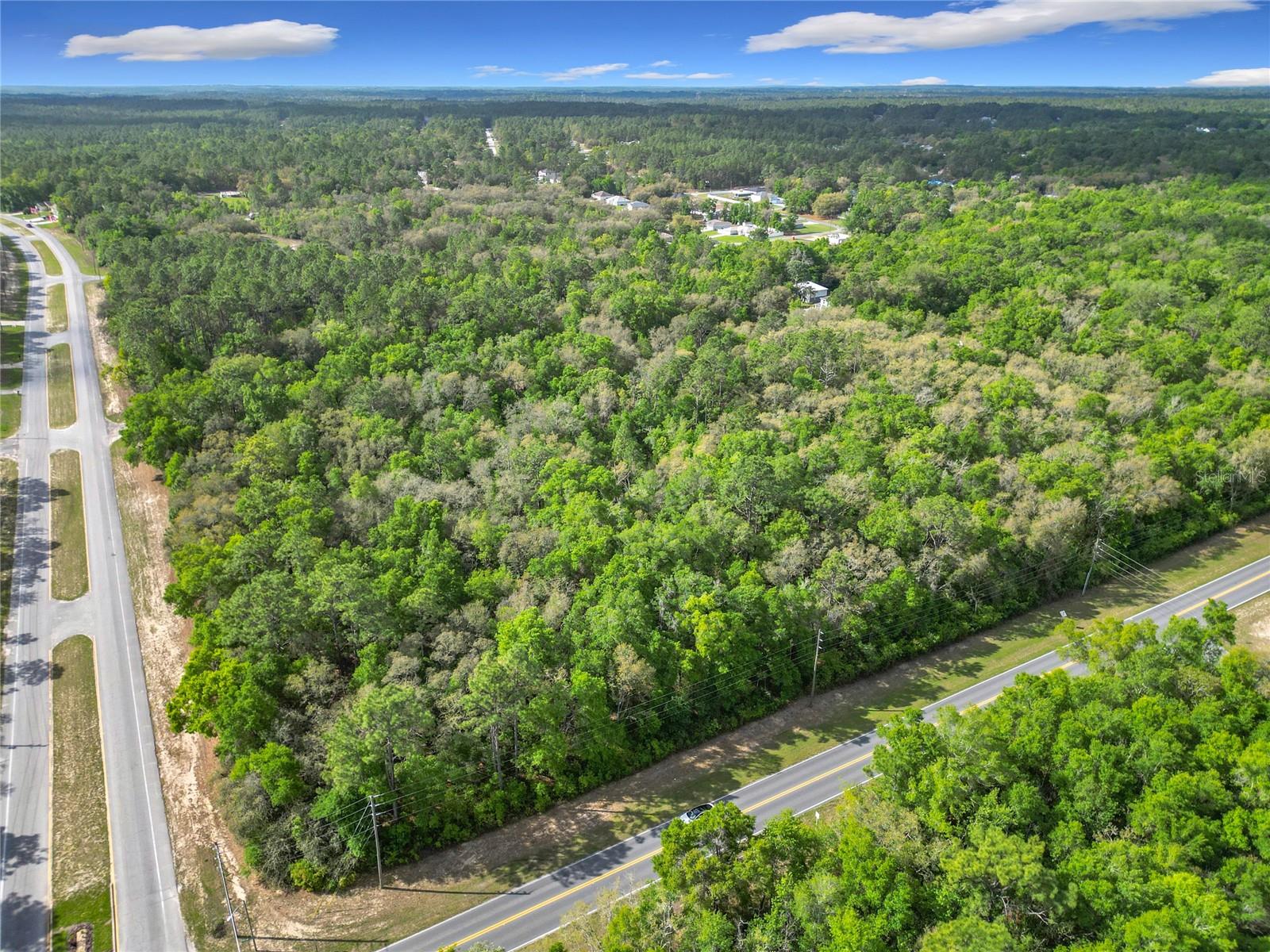 Listing photo id 6 for 8808 Deltona Boulevard