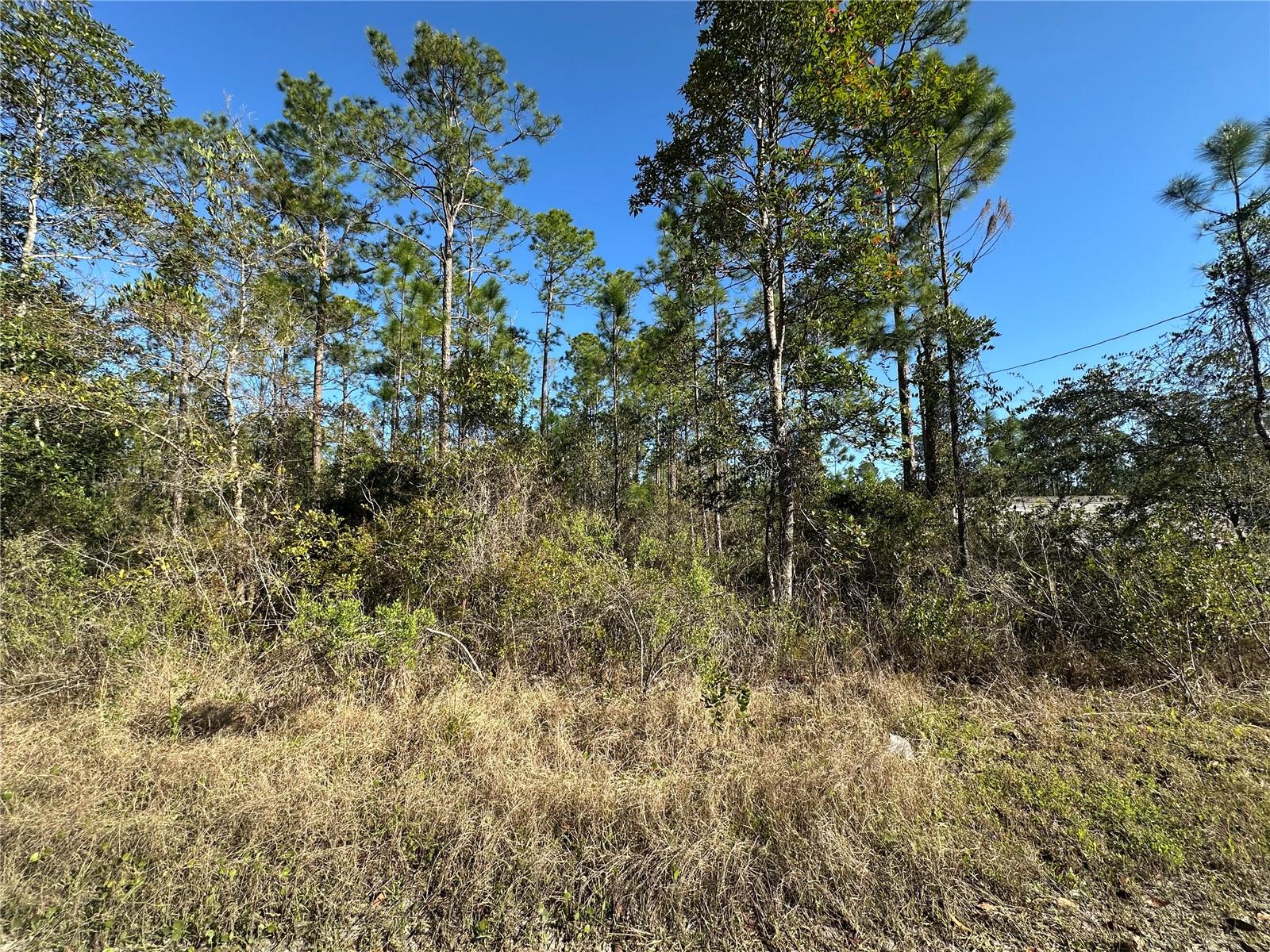 Details for 124 Alachua Street, PALATKA, FL 32177