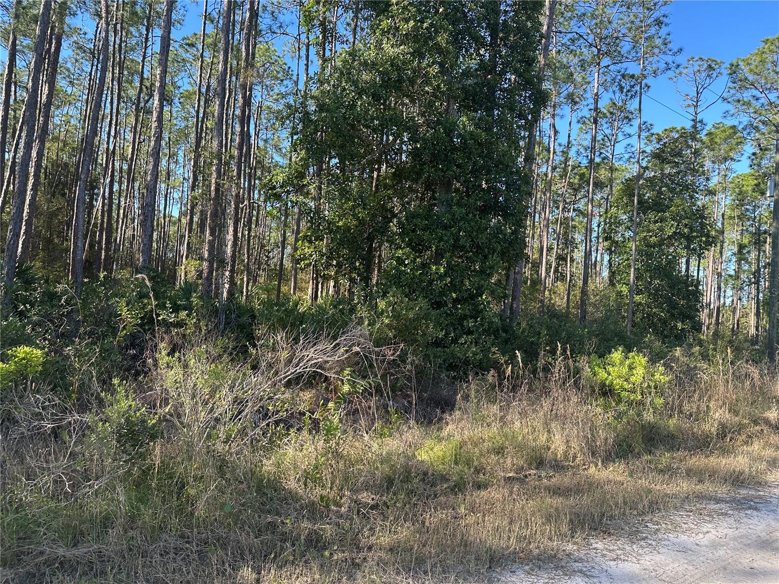 Image 2 of 3 For 124 Alachua Street