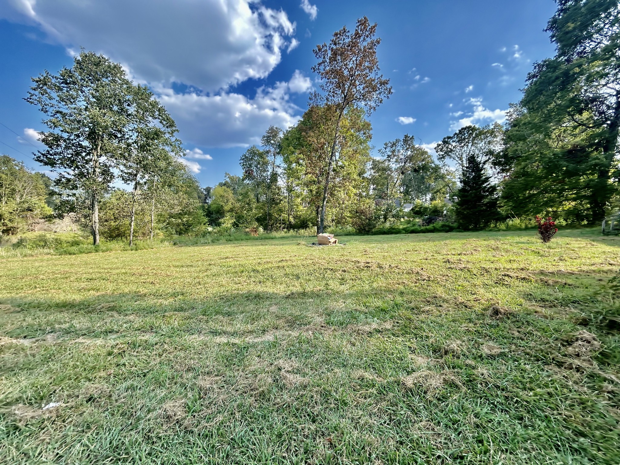 Image 37 of 52 For 9035 101st Lane