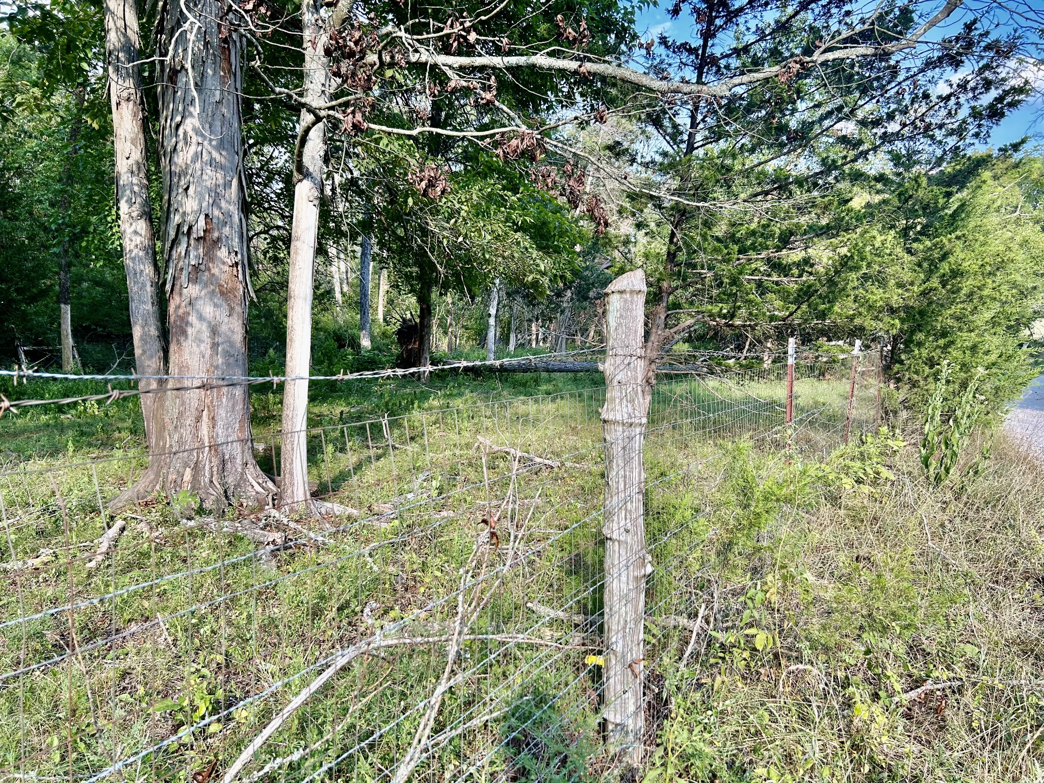 Image 45 of 52 For 9035 101st Lane