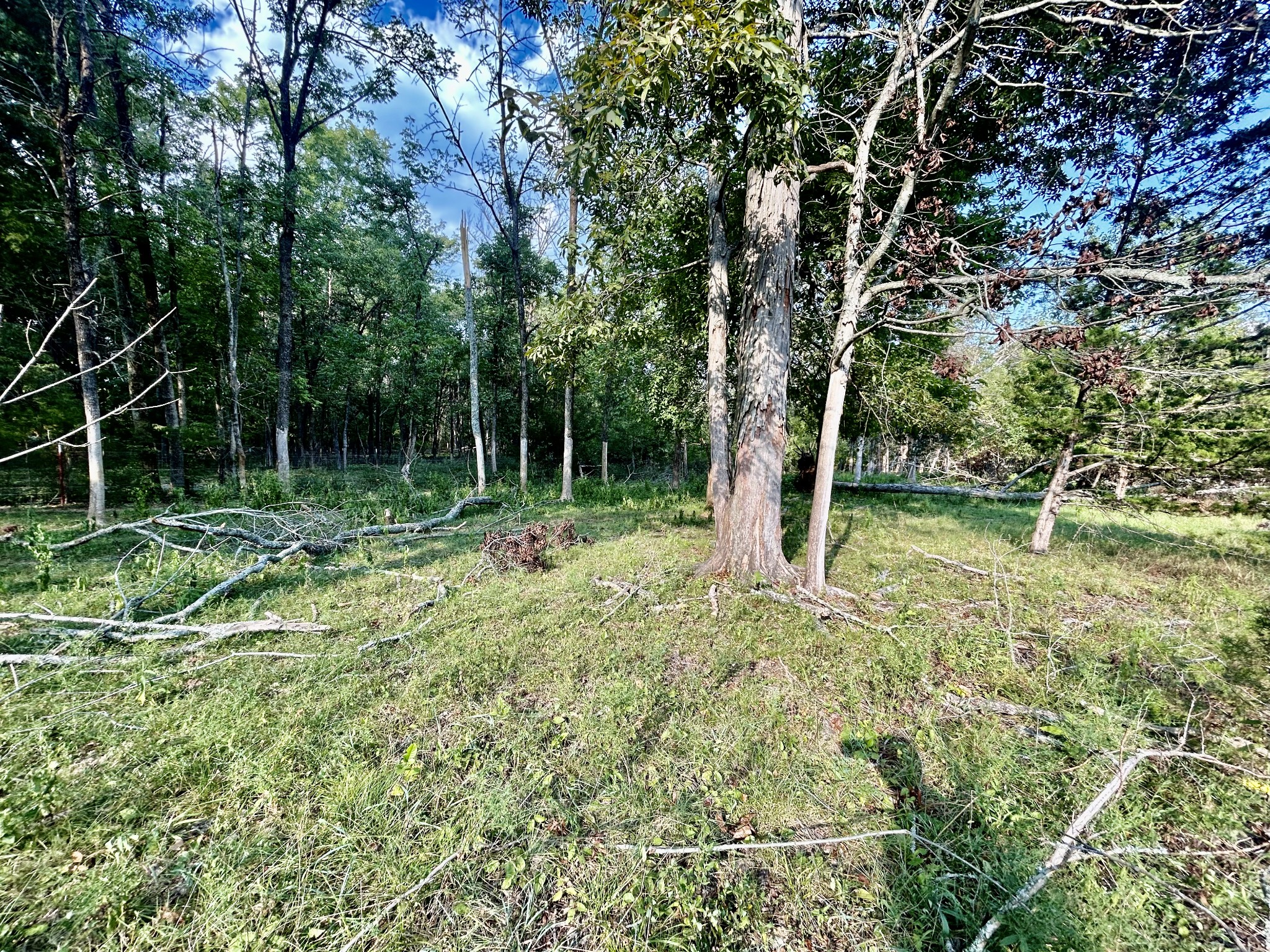 Image 47 of 52 For 9035 101st Lane