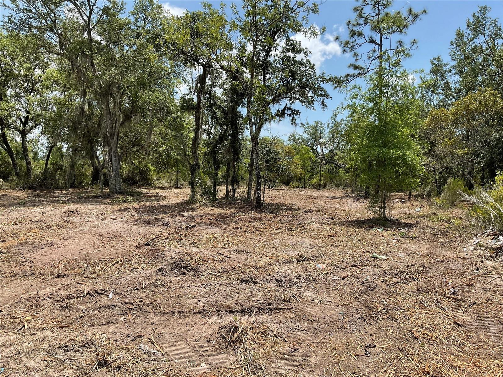 Details for Tbd 69th Street, WILLISTON, FL 32696