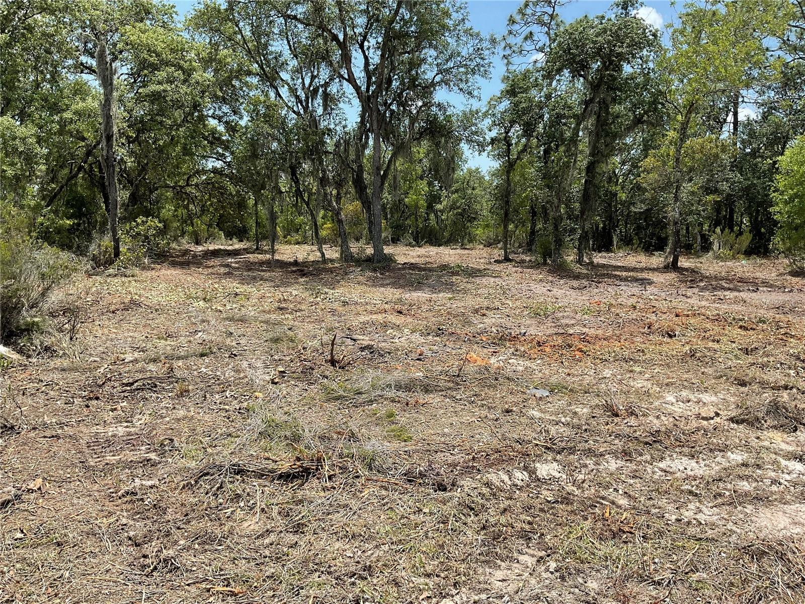 Image 5 of 5 For Tbd 69th Street