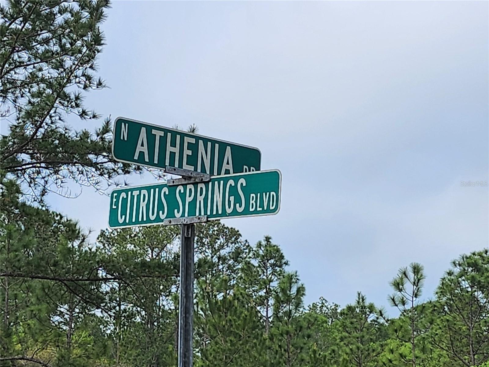 Image 2 of 6 For 9209 (lot 19) Athenia Drive