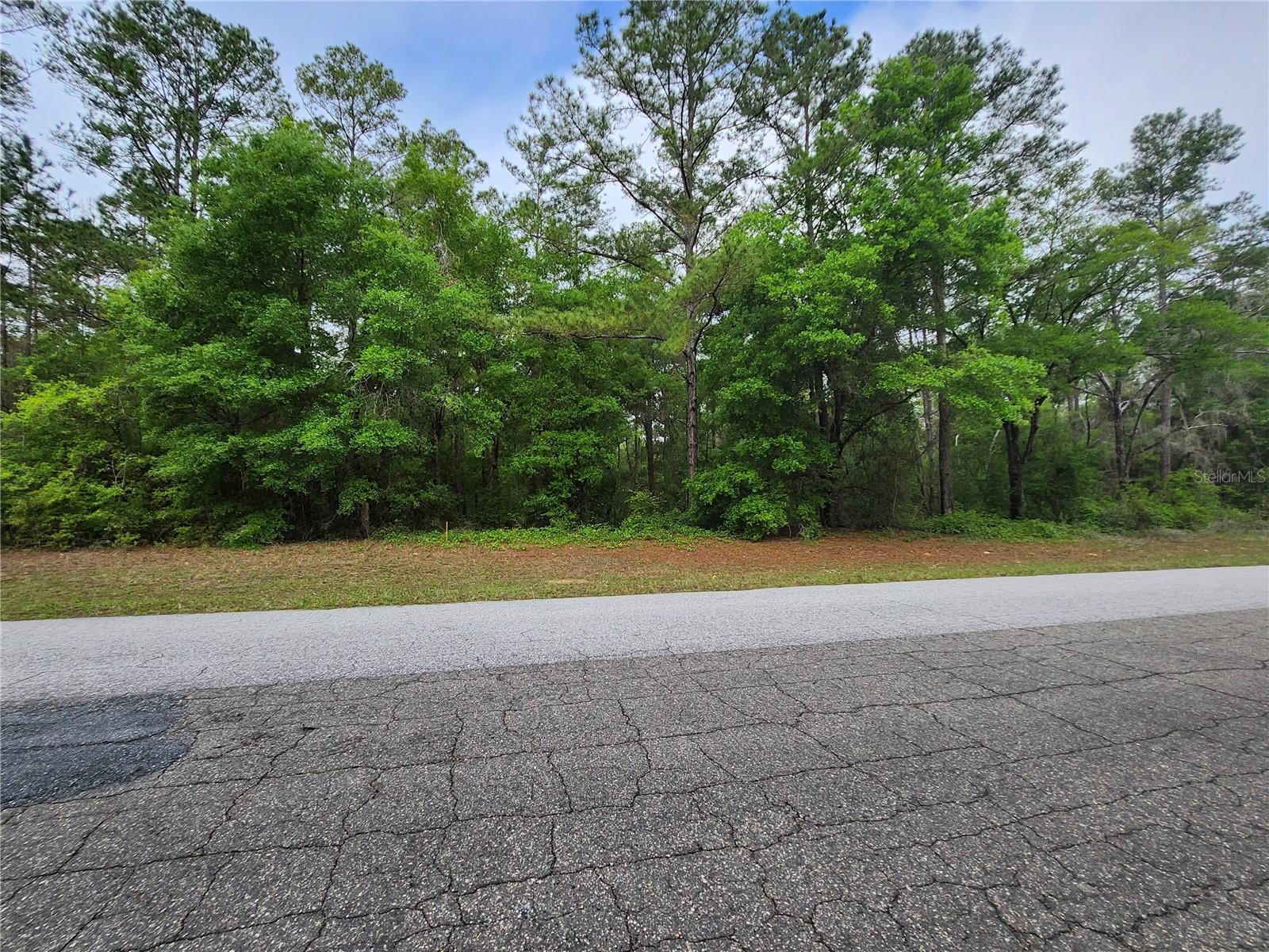 Image 5 of 6 For 9209 (lot 19) Athenia Drive